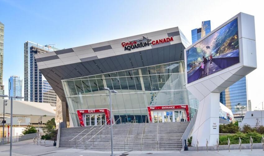 3 Bedroom Beside Cn Tower With Parking Downtown Toronto Kültér fotó